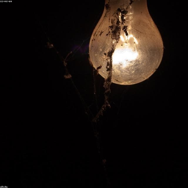 Smart LED Bulb 9W, image 1 of 5